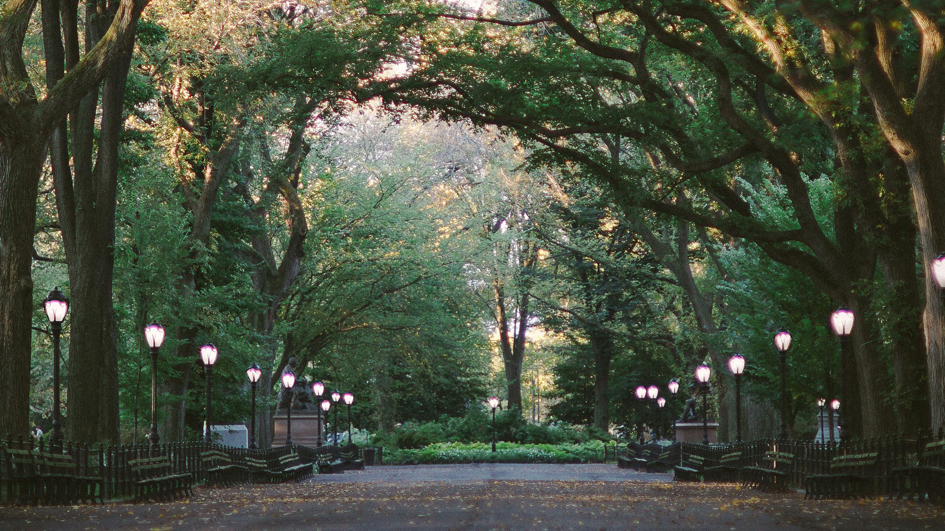 Central-Park-Mall Photo of the Central Park Mall - Bens Bagel Tours.